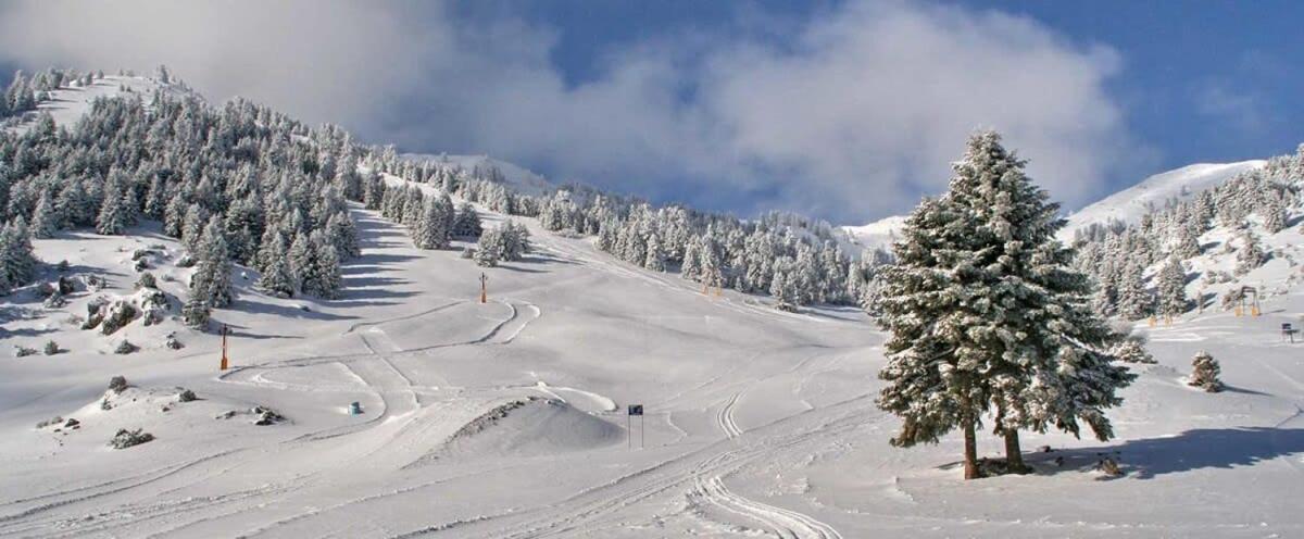 Forest Cosy House - Lagkadia Amazing View Экстерьер фото